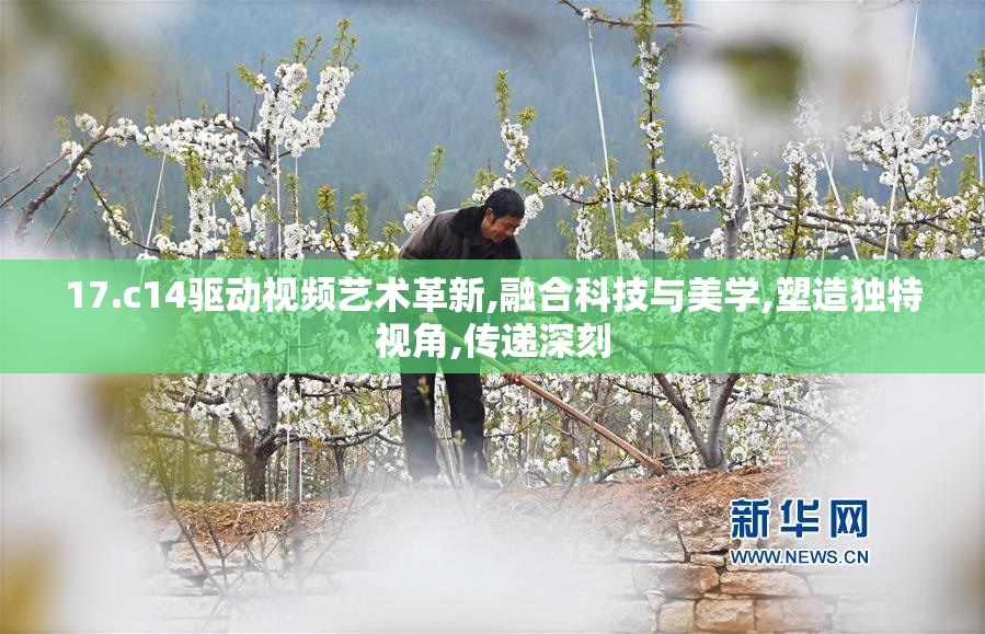 17.c14驱动视频艺术革新,融合科技与美学,塑造独特视角,传递深刻