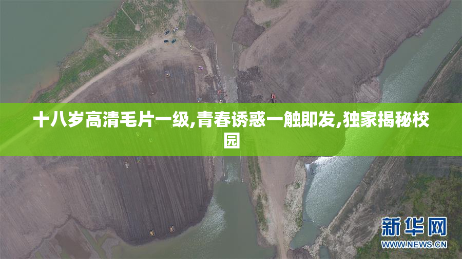 十八岁高清毛片一级,青春诱惑一触即发,独家揭秘校园