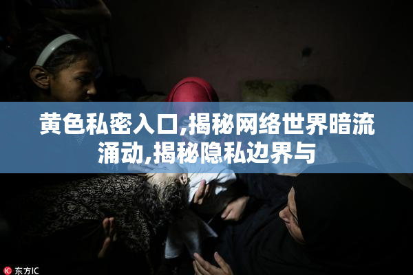 黄色私密入口,揭秘网络世界暗流涌动,揭秘隐私边界与