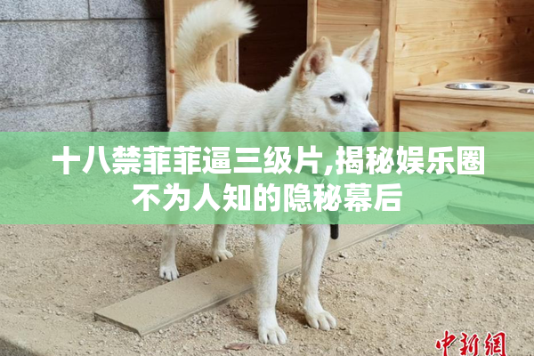 十八禁菲菲逼三级片,揭秘娱乐圈不为人知的隐秘幕后