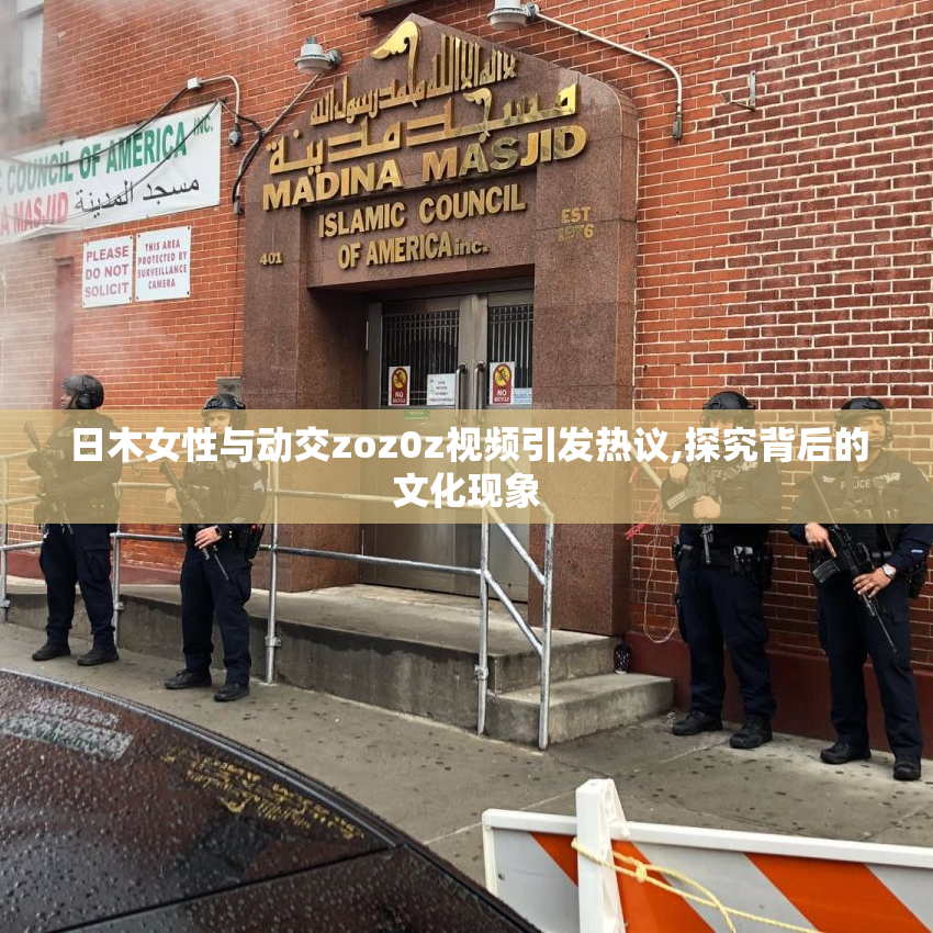 日木女性与动交zoz0z视频引发热议,探究背后的文化现象