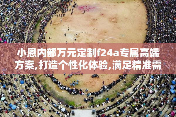 小恩内部万元定制f24a专属高端方案,打造个性化体验,满足精准需求