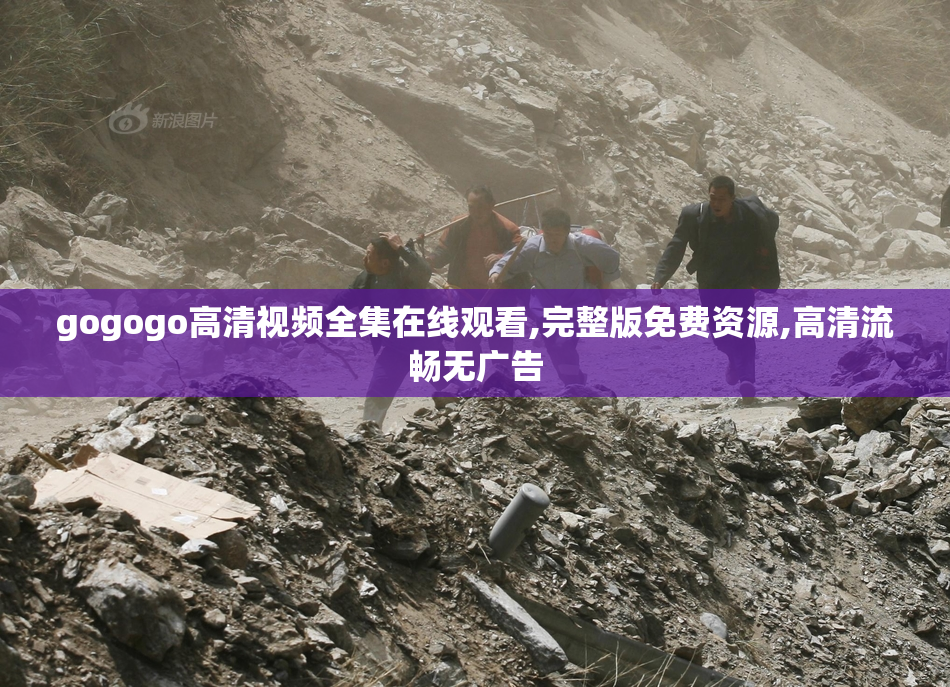 gogogo高清视频全集在线观看,完整版免费资源,高清流畅无广告