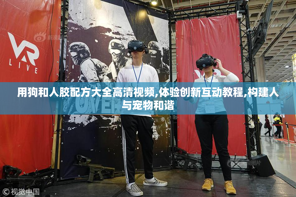 用狗和人胶配方大全高清视频,体验创新互动教程,构建人与宠物和谐