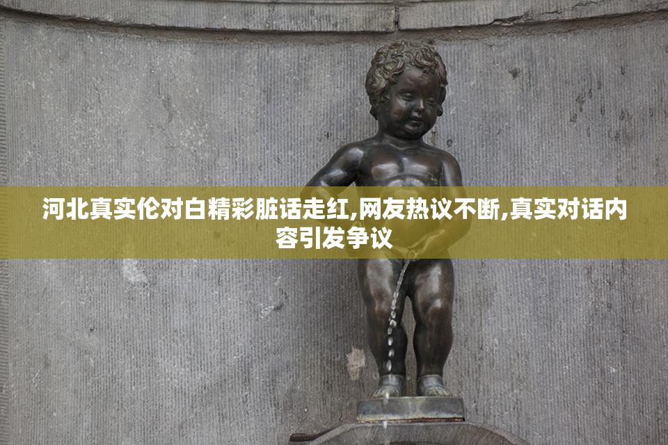 河北真实伦对白精彩脏话走红,网友热议不断,真实对话内容引发争议