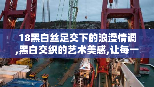 18黑白丝足交下的浪漫情调,黑白交织的艺术美感,让每一次接触都