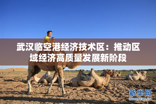 武汉临空港经济技术区：推动区域经济高质量发展新阶段