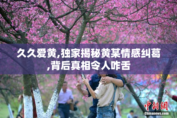久久爱黄,独家揭秘黄某情感纠葛,背后真相令人咋舌