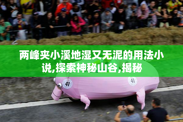 两峰夹小溪地湿又无泥的用法小说,探索神秘山谷,揭秘