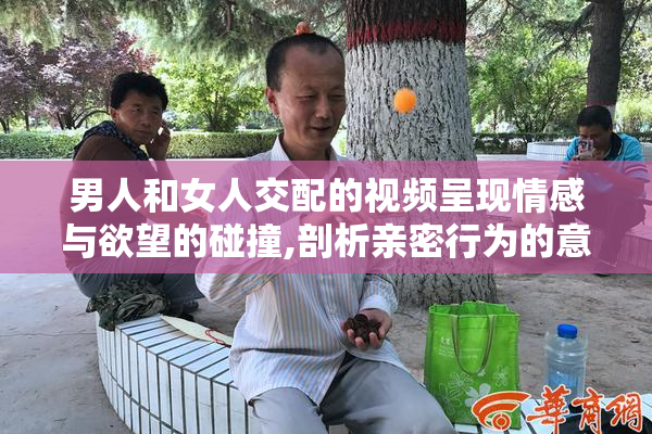 男人和女人交配的视频呈现情感与欲望的碰撞,剖析亲密行为的意义