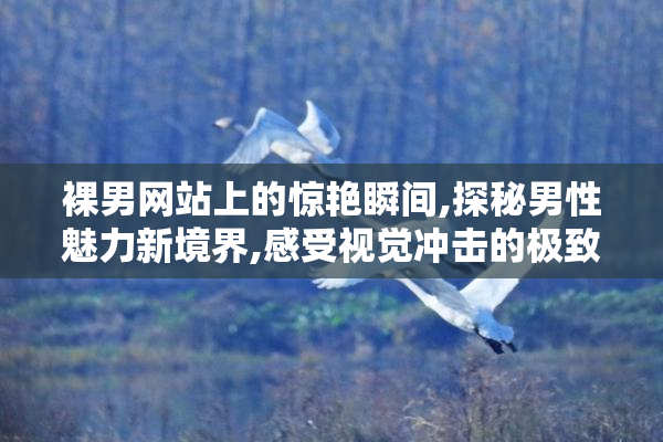 裸男网站上的惊艳瞬间,探秘男性魅力新境界,感受视觉冲击的极致