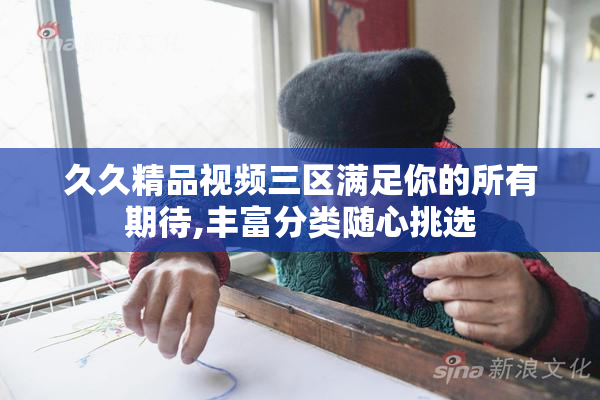 久久精品视频三区满足你的所有期待,丰富分类随心挑选