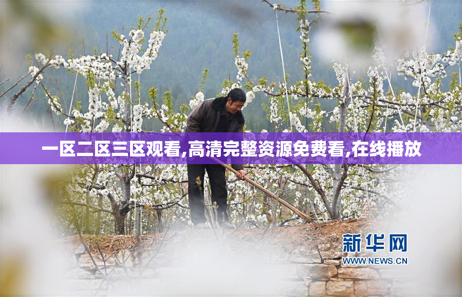 一区二区三区观看,高清完整资源免费看,在线播放