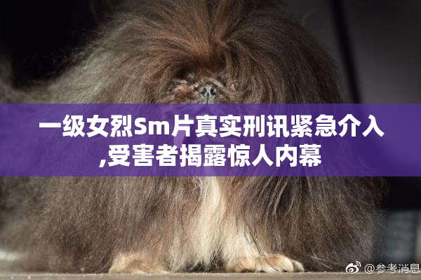 一级女烈Sm片真实刑讯紧急介入,受害者揭露惊人内幕