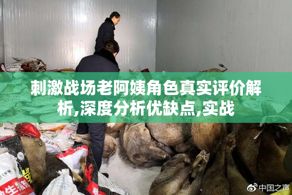 刺激战场老阿姨角色真实评价解析,深度分析优缺点,实战
