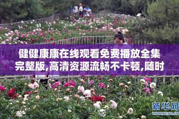 健健康康在线观看免费播放全集完整版,高清资源流畅不卡顿,随时