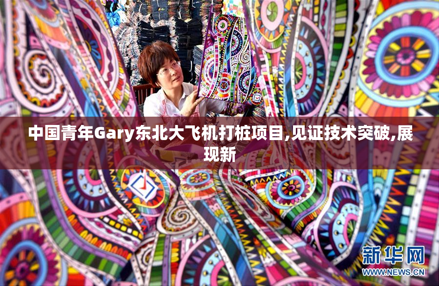 中国青年Gary东北大飞机打桩项目,见证技术突破,展现新