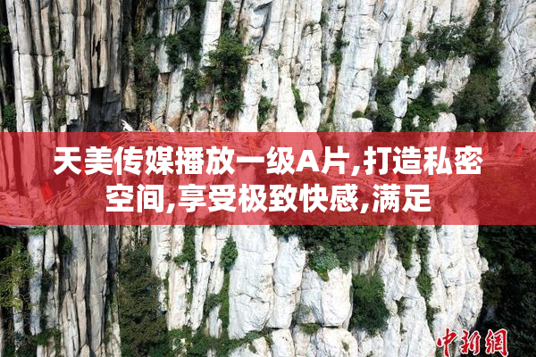 天美传媒播放一级A片,打造私密空间,享受极致快感,满足
