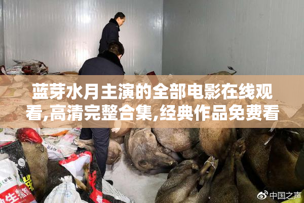 蓝芽水月主演的全部电影在线观看,高清完整合集,经典作品免费看