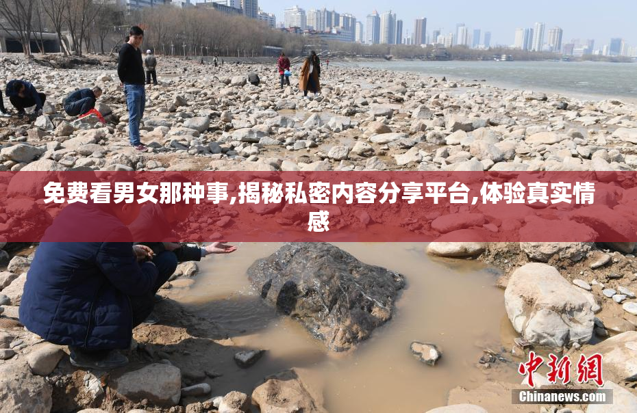 免费看男女那种事,揭秘私密内容分享平台,体验真实情感
