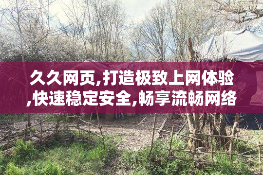 久久网页,打造极致上网体验,快速稳定安全,畅享流畅网络新境界