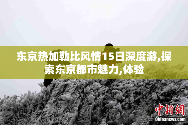 东京热加勒比风情15日深度游,探索东京都市魅力,体验