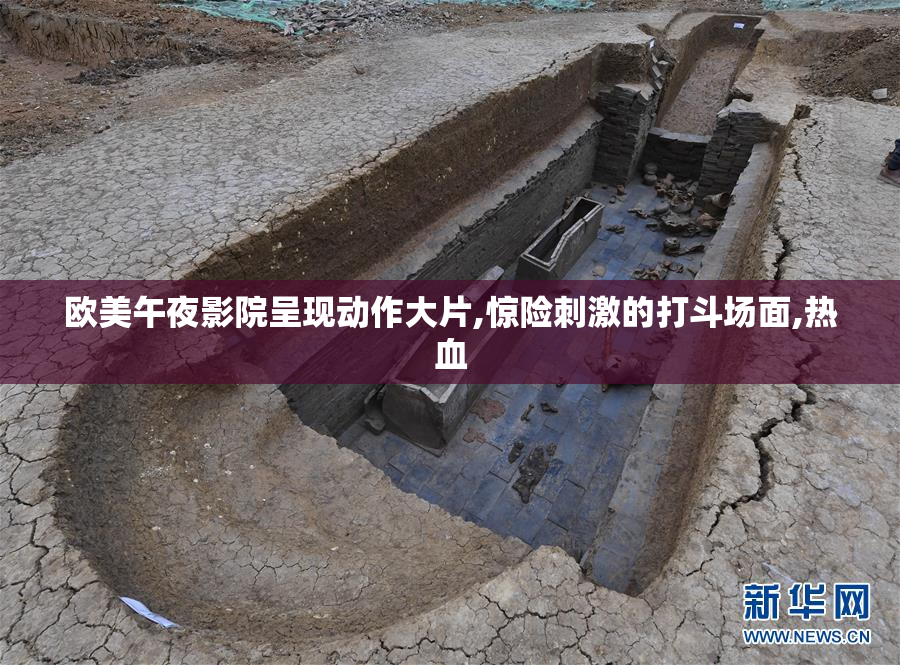 欧美午夜影院呈现动作大片,惊险刺激的打斗场面,热血