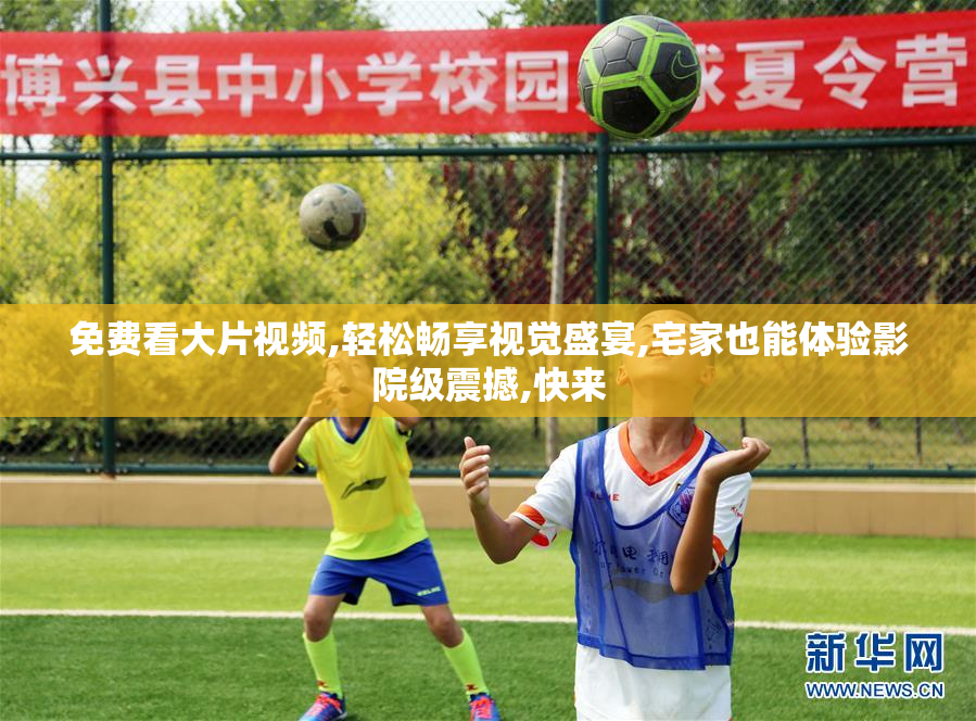 免费看大片视频,轻松畅享视觉盛宴,宅家也能体验影院级震撼,快来