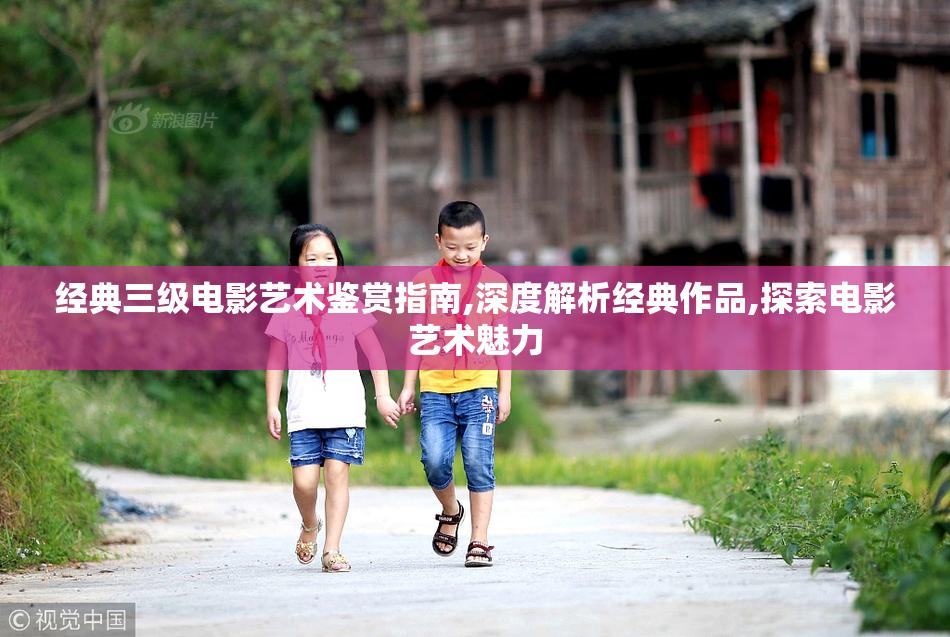 经典三级电影艺术鉴赏指南,深度解析经典作品,探索电影艺术魅力