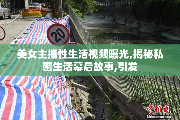 美女主播性生活视频曝光,揭秘私密生活幕后故事,引发