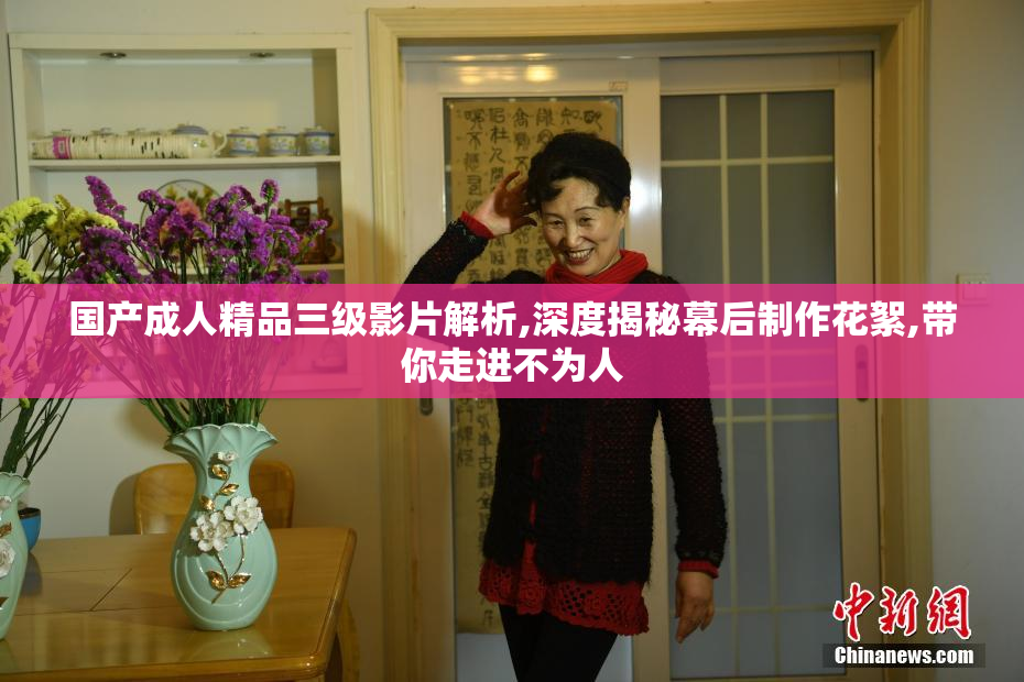 国产成人精品三级影片解析,深度揭秘幕后制作花絮,带你走进不为人