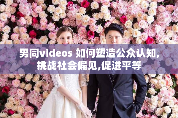 男同videos 如何塑造公众认知,挑战社会偏见,促进平等