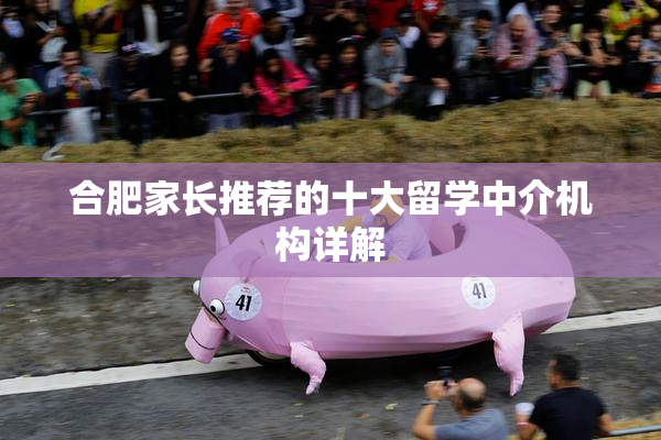 合肥家长推荐的十大留学中介机构详解