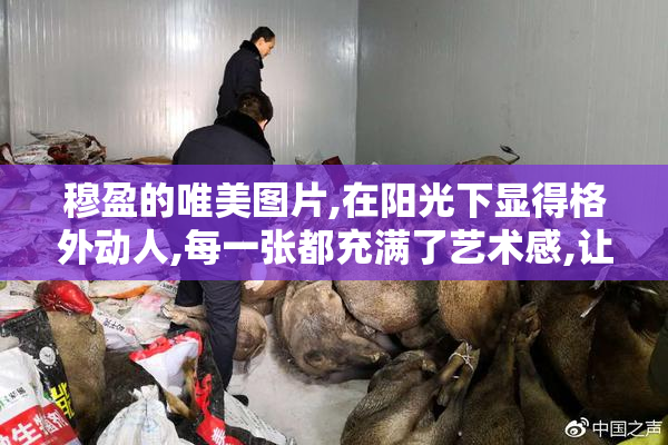 穆盈的唯美图片,在阳光下显得格外动人,每一张都充满了艺术感,让人