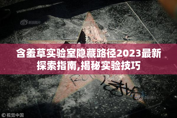含羞草实验室隐藏路径2023最新探索指南,揭秘实验技巧