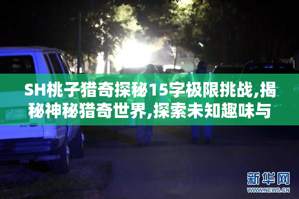 SH桃子猎奇探秘15字极限挑战,揭秘神秘猎奇世界,探索未知趣味与刺激