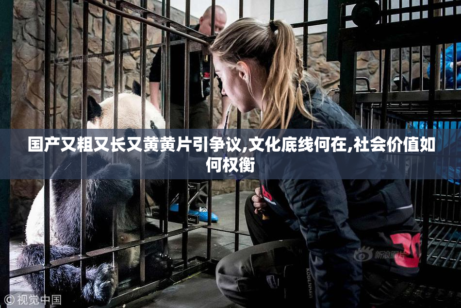 国产又粗又长又黄黄片引争议,文化底线何在,社会价值如何权衡