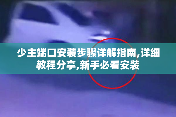 少主端口安装步骤详解指南,详细教程分享,新手必看安装