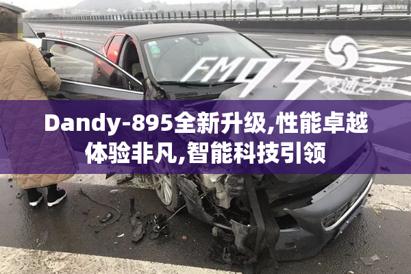 Dandy-895全新升级,性能卓越体验非凡,智能科技引领