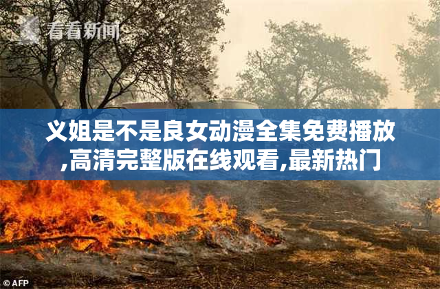 义姐是不是良女动漫全集免费播放,高清完整版在线观看,最新热门