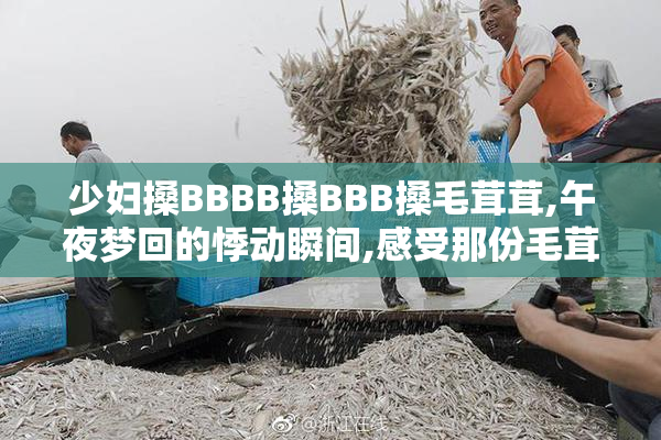 少妇搡BBBB搡BBB搡毛茸茸,午夜梦回的悸动瞬间,感受那份毛茸茸的