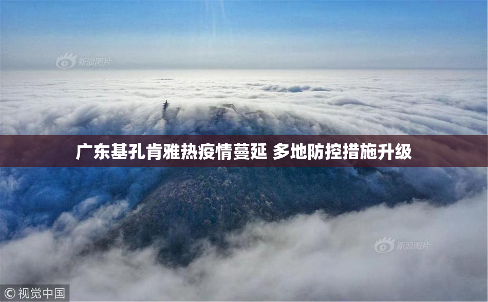 广东基孔肯雅热疫情蔓延 多地防控措施升级