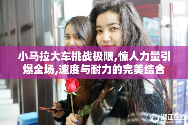 小马拉大车挑战极限,惊人力量引爆全场,速度与耐力的完美结合