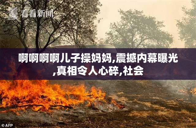 啊啊啊啊儿子操妈妈,震撼内幕曝光,真相令人心碎,社会