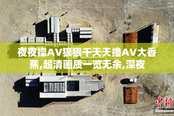 夜夜操AV狠狠干天天撸AV大香蕉,超清画质一览无余,深夜