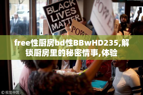 free性厨房bd性BBwHD235,解锁厨房里的秘密情事,体验