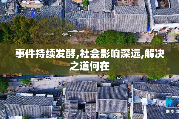 事件持续发酵,社会影响深远,解决之道何在