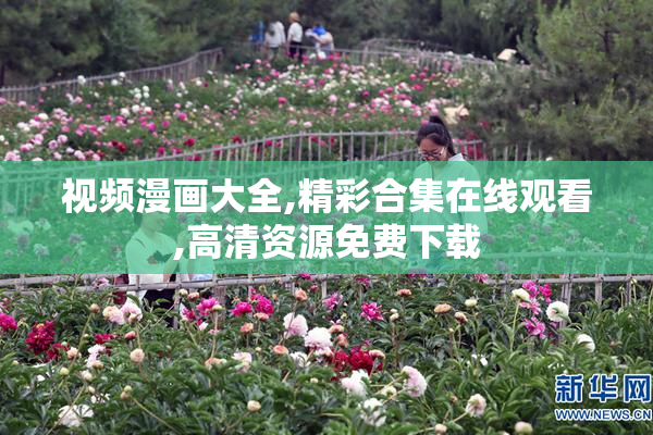 视频漫画大全,精彩合集在线观看,高清资源免费下载