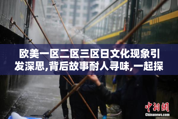 欧美一区二区三区日文化现象引发深思,背后故事耐人寻味,一起探讨