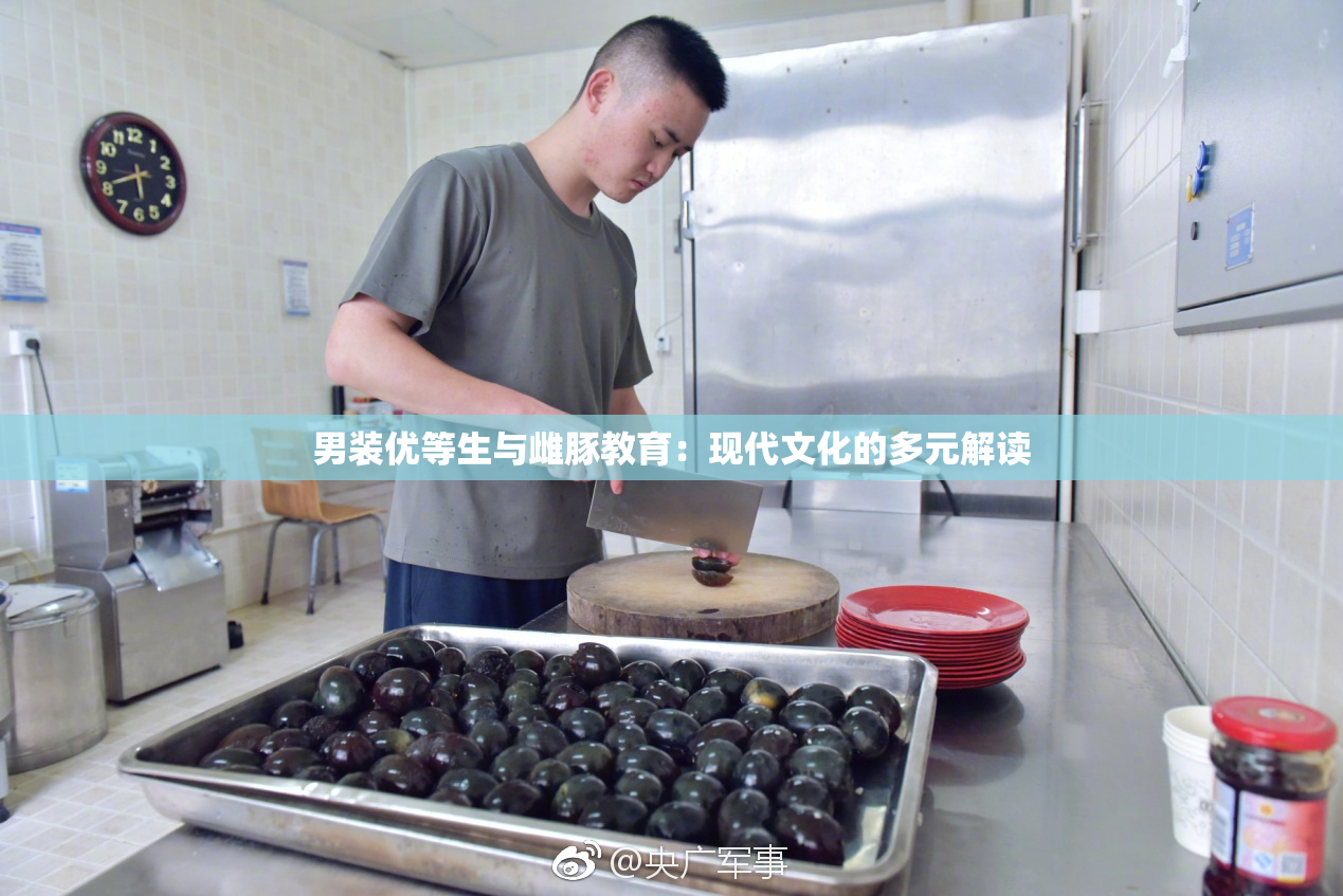 男装优等生与雌豚教育：现代文化的多元解读